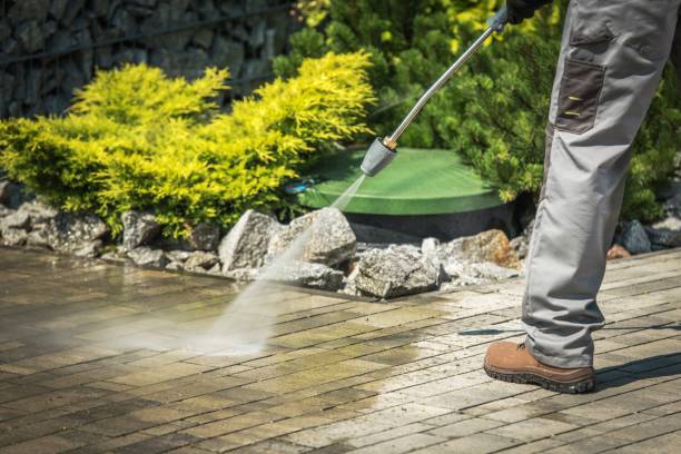 Best Solar Panel Cleaning  in Pottsville, PA
